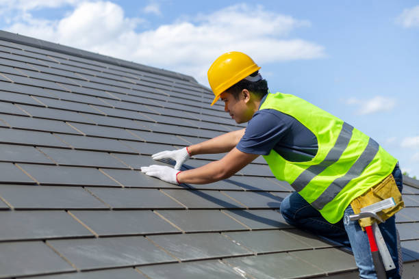 Best Residential Roofing Contractor  in Rio Bravo, TX