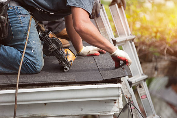 Best Roof Waterproofing Services  in Rio Bravo, TX